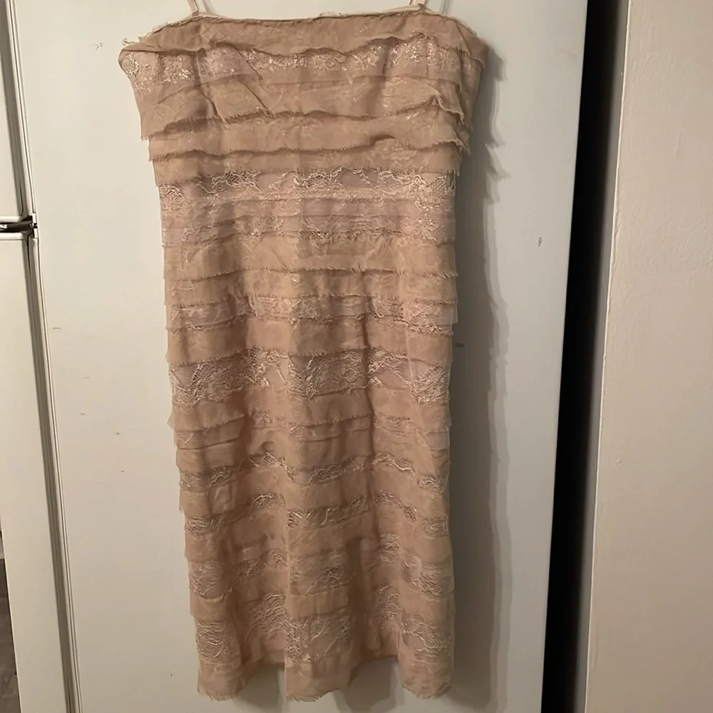 NWT‎ BCBGMaxazria Medium Strapless Dress Champagne
